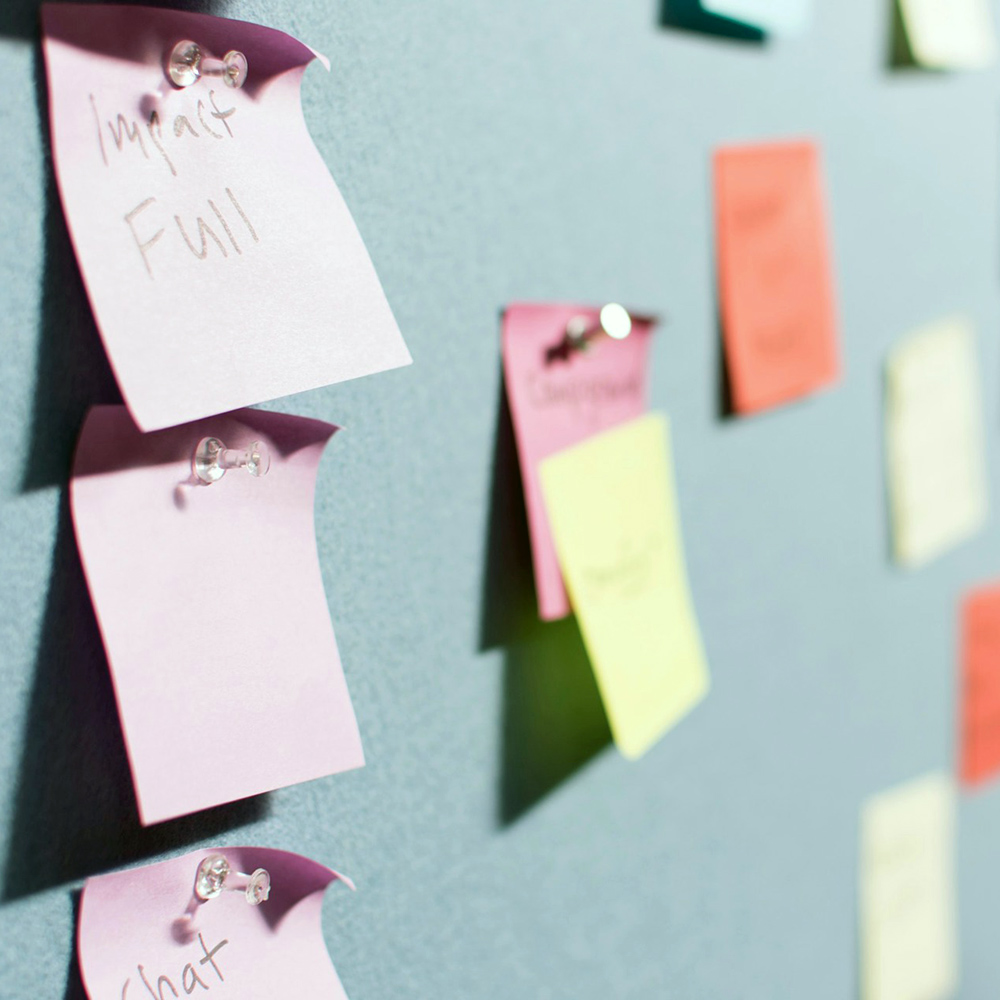 Program & Strategy Design